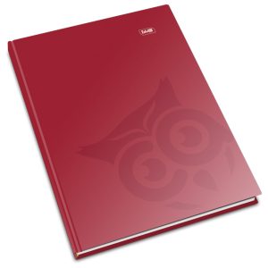Teka tvrdi uvez A4 karo 96L 60g jednobojna Educa