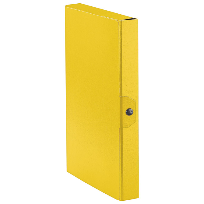 Mapa s gumbom hrbat- 40 mm A4 Delso line Esselte C8409/390384090 žuta Mapa s gumbom hrbat- 40 mm A4 Delso line Esselte C8409/390384090 žuta